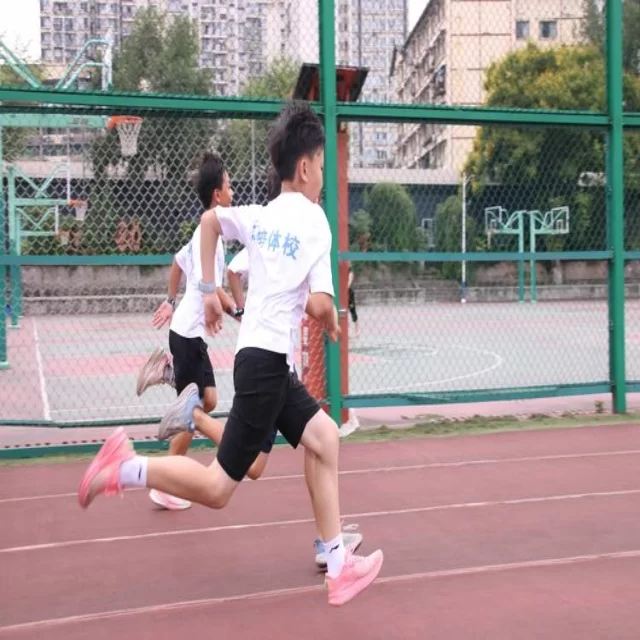 足球杯赛焦点对决:第218组阵容解析与胜负关键